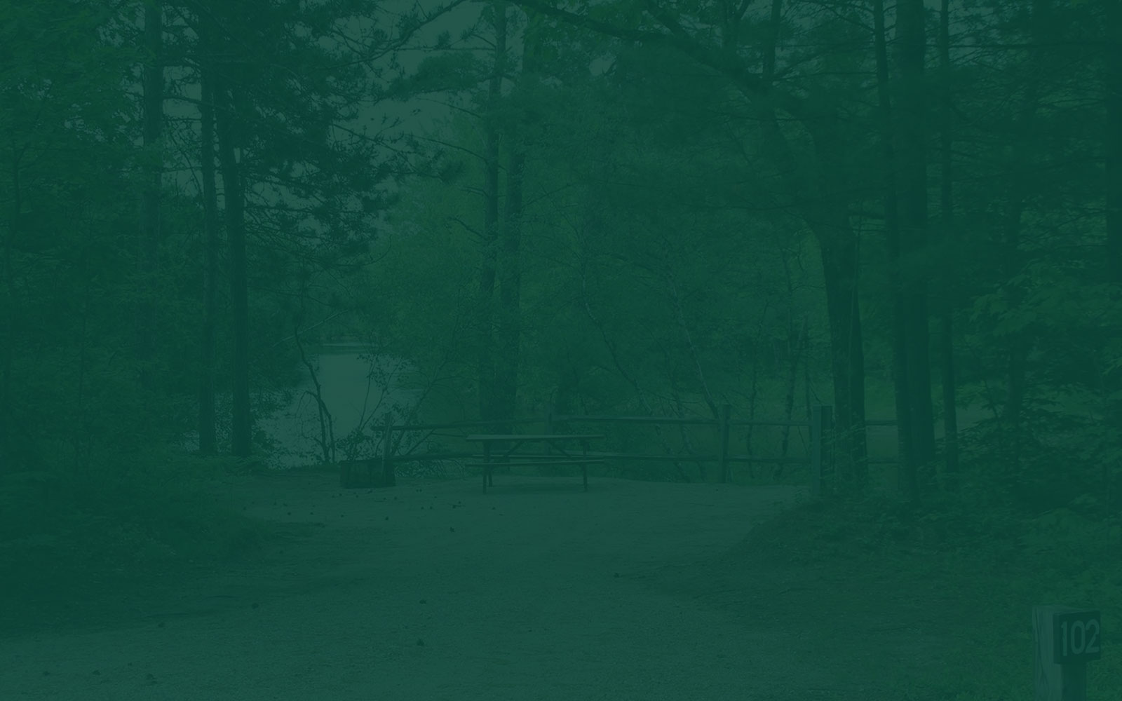 Woodland Acrs Campground — photo 2